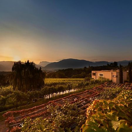 Apartamento Weingut Stuck Appiano Sulla Strada Del Vino Exterior foto