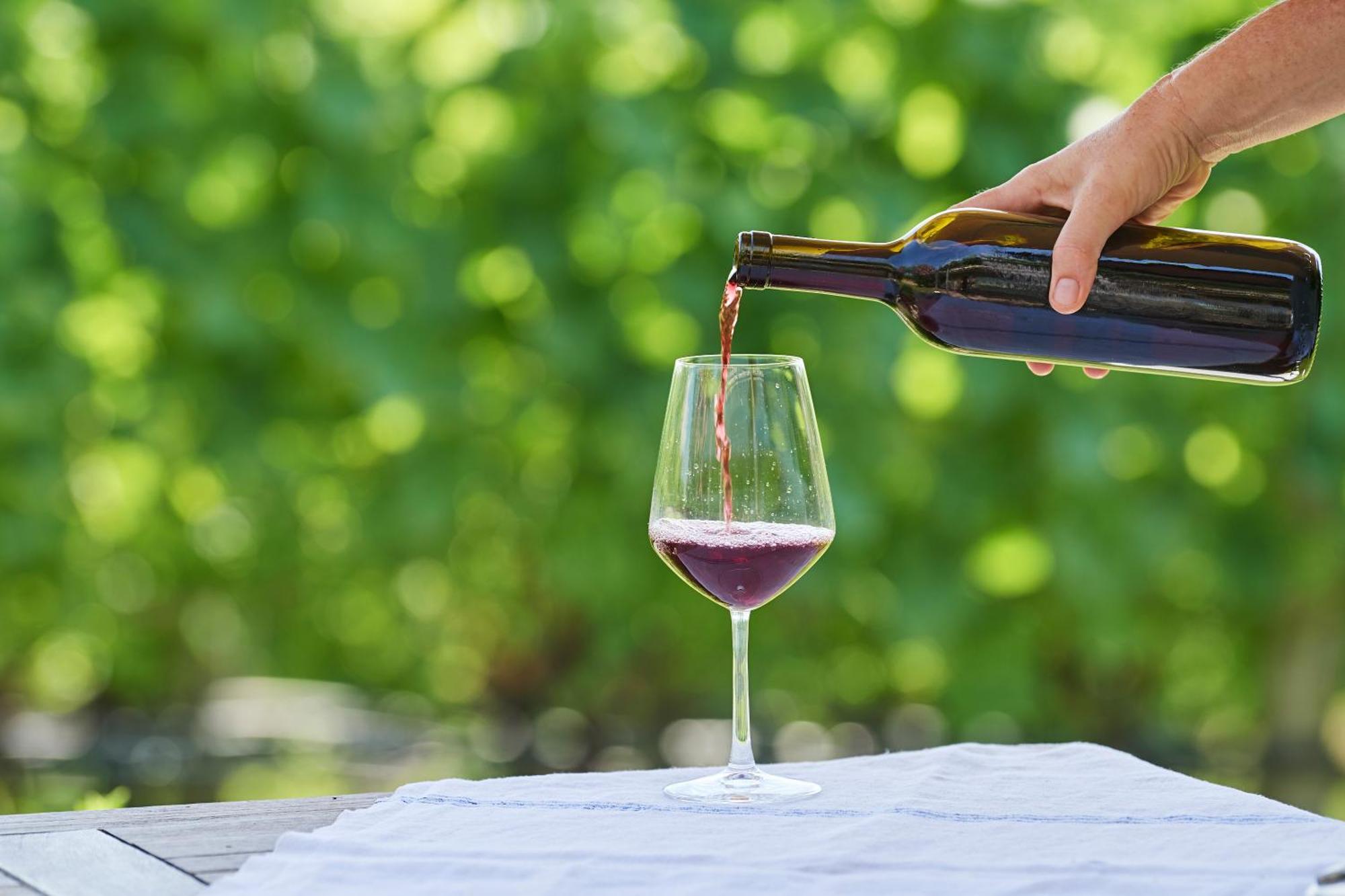 Apartamento Weingut Stuck Appiano Sulla Strada Del Vino Exterior foto
