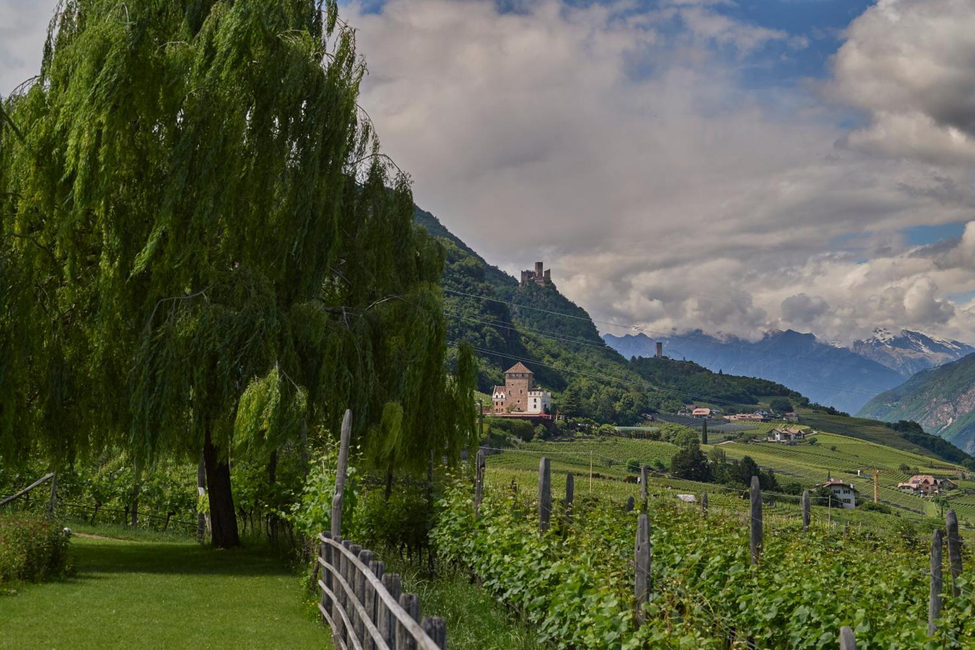 Apartamento Weingut Stuck Appiano Sulla Strada Del Vino Exterior foto
