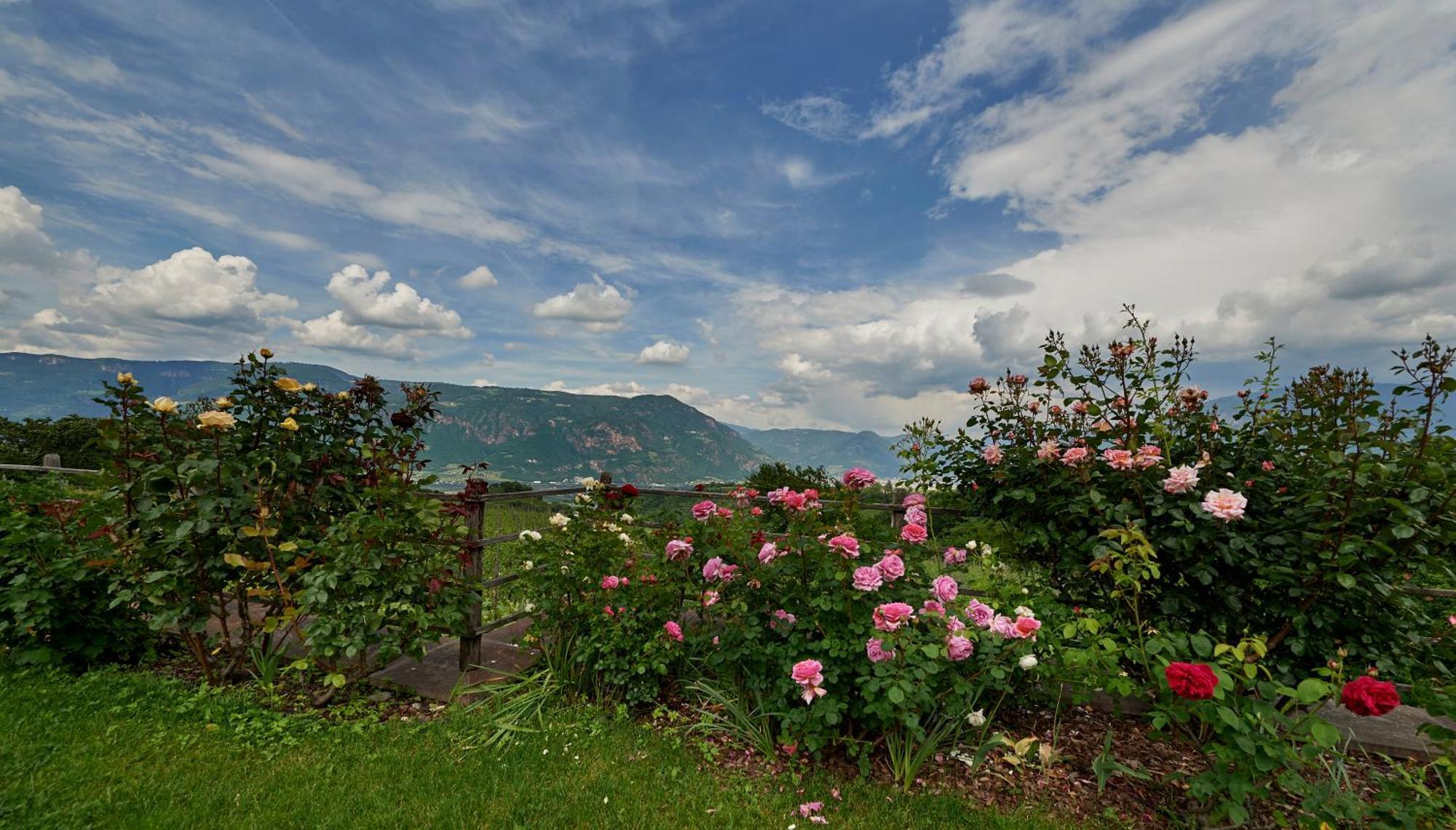 Apartamento Weingut Stuck Appiano Sulla Strada Del Vino Exterior foto