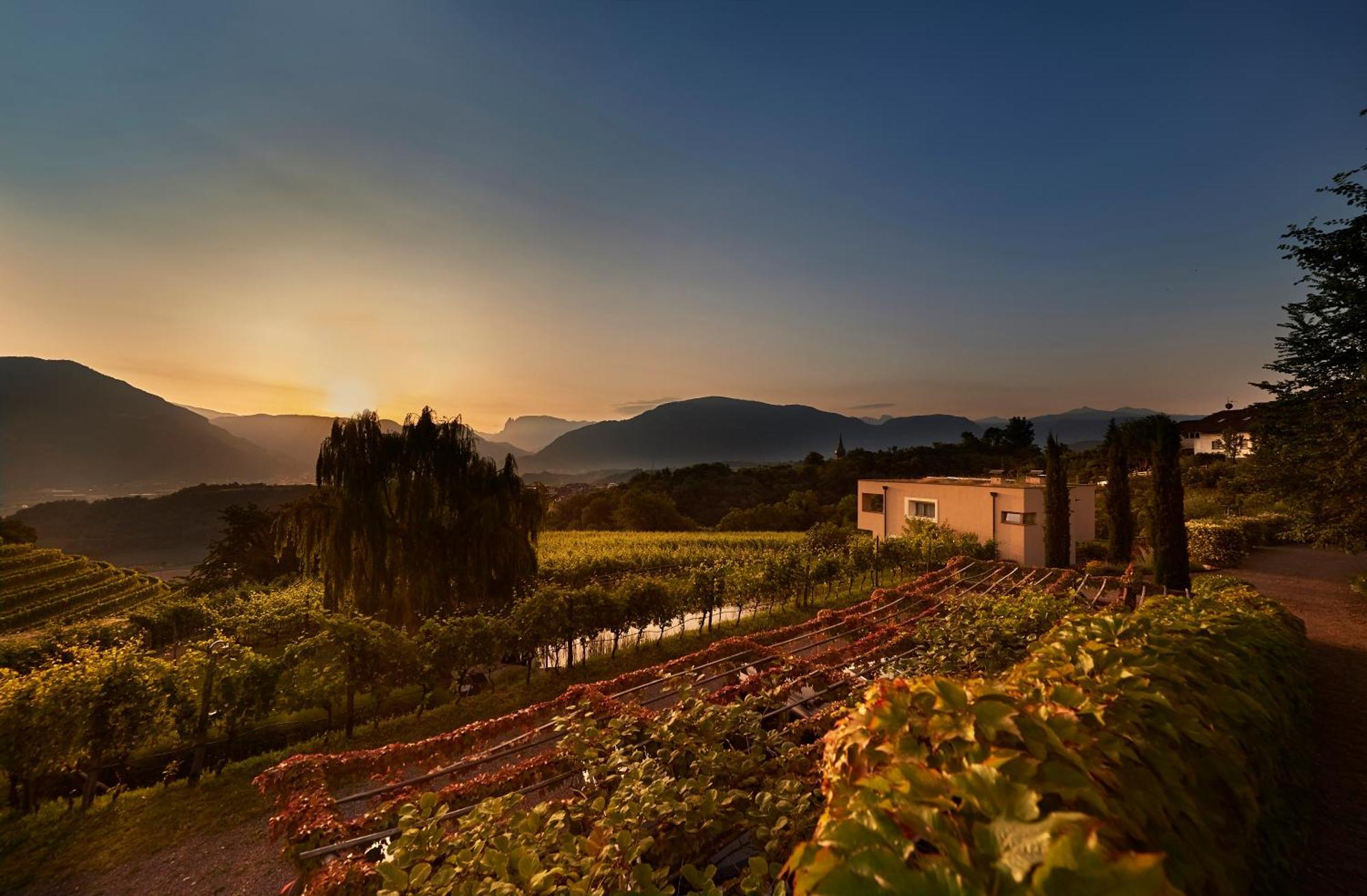 Apartamento Weingut Stuck Appiano Sulla Strada Del Vino Exterior foto