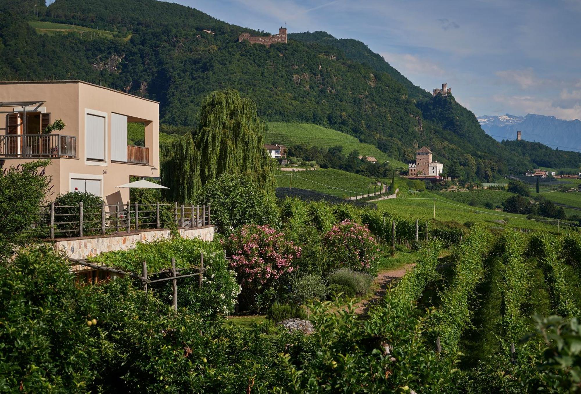 Apartamento Weingut Stuck Appiano Sulla Strada Del Vino Exterior foto