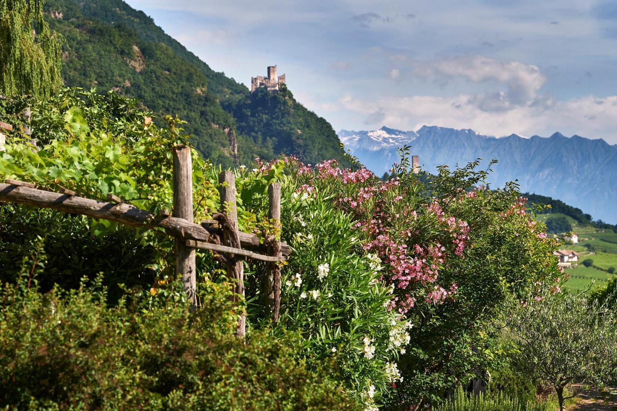 Apartamento Weingut Stuck Appiano Sulla Strada Del Vino Exterior foto