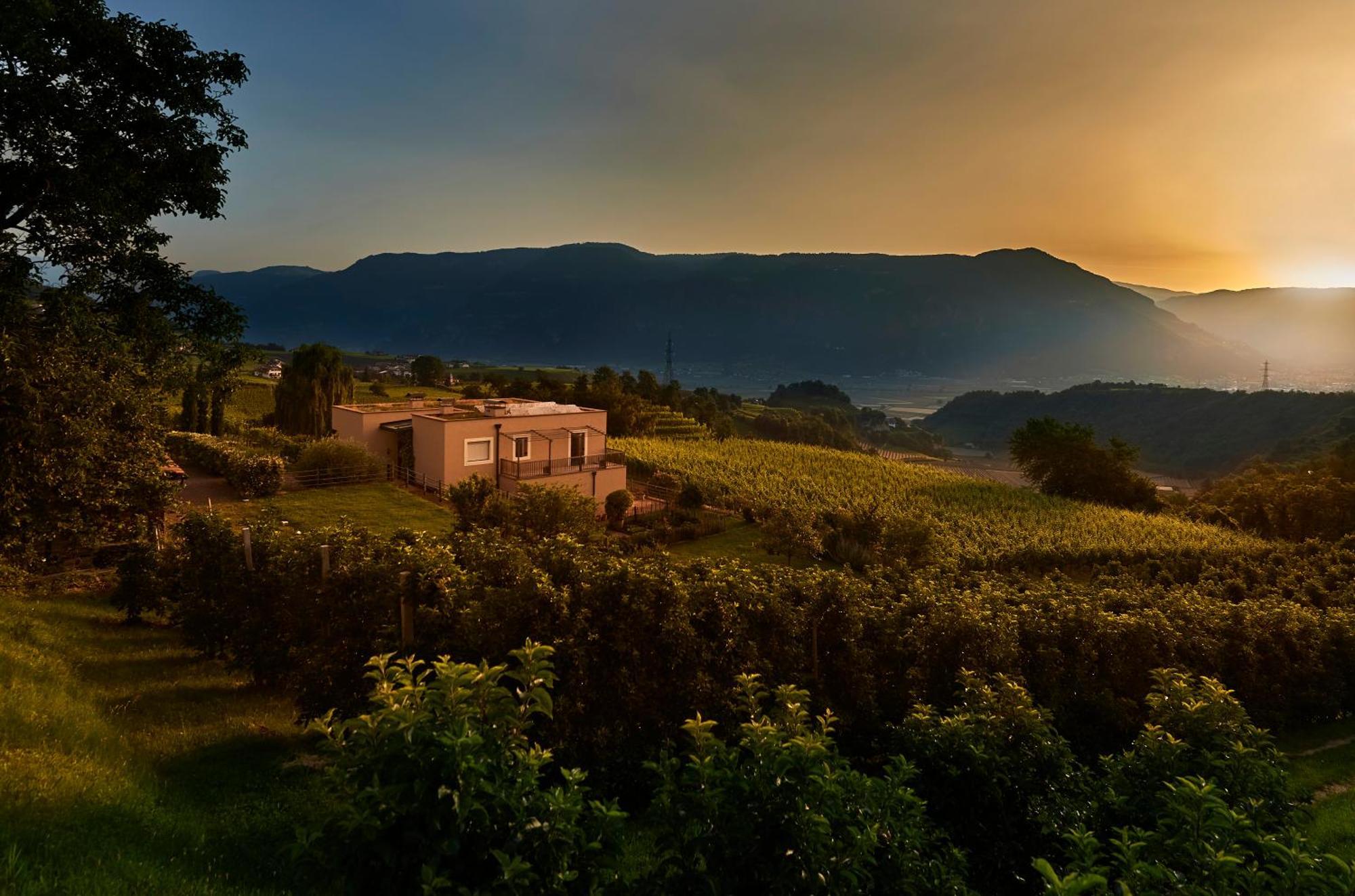 Apartamento Weingut Stuck Appiano Sulla Strada Del Vino Exterior foto