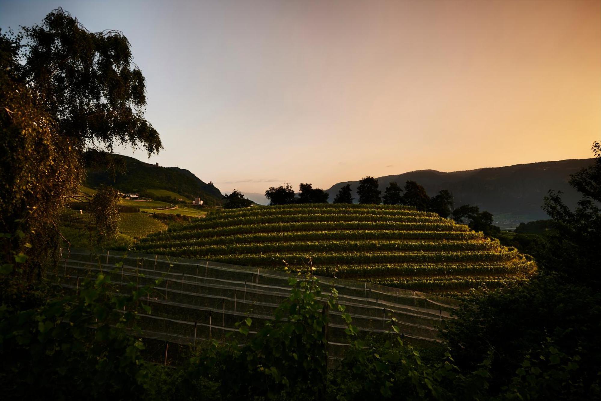 Apartamento Weingut Stuck Appiano Sulla Strada Del Vino Exterior foto